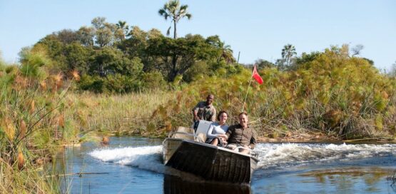 10 day botswana summer encounter 1