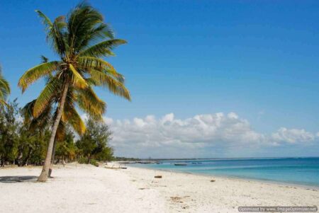 10 day kruger and mozambique bush and beach 2