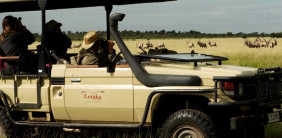 11 day botswana north highlight 1