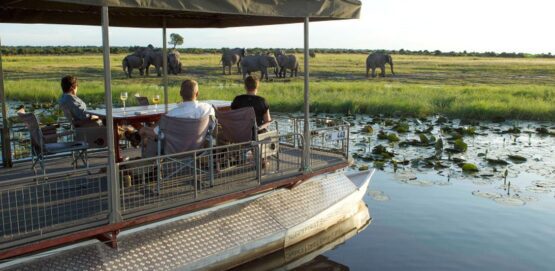 3 day chobe fly in 1