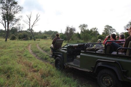 3 day exclusive sabi and safari experience 2