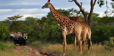 4 day kruger sabisand getaway 3