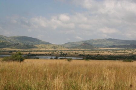 4 day pilanesberg safari 2