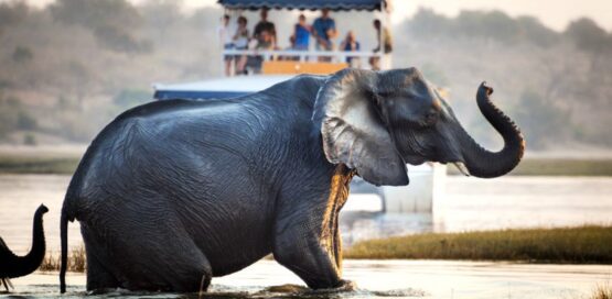 4 day victoria falls express 1