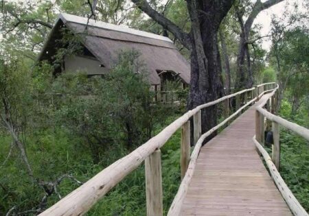 4 day walking safari 2