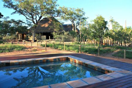 5 day kruger sabi sand 2
