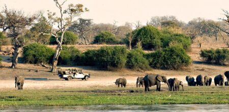 5 day vintage kruger lodge safari 1