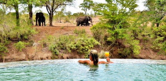 6 Day Pristine Kruger Victoria Falls Fly in Safari 1