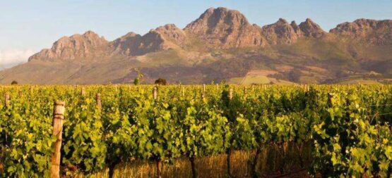 6 day garden route winelands meander 1