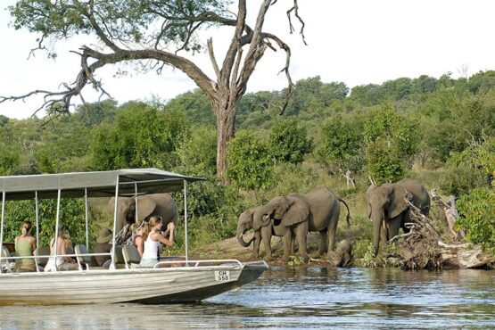 6 day luxury victoria falls and chobe 1