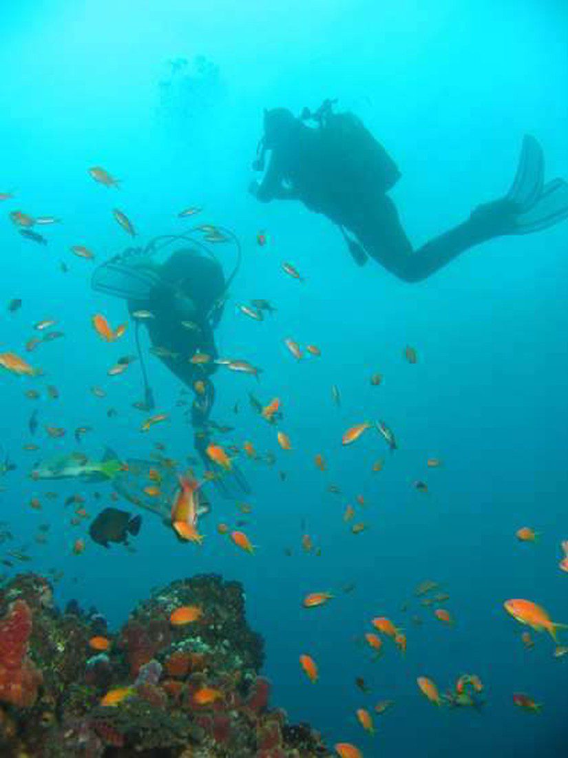 8 Day Mozambique Diving Tour and Kruger National Park 2