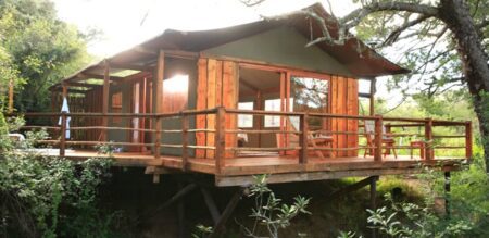 addo elephant safari lodge 2