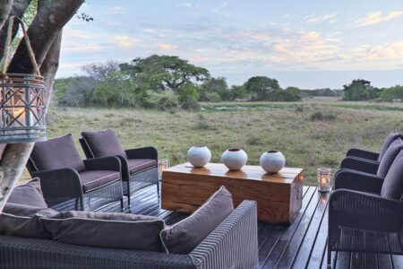 phinda forest lodge 2