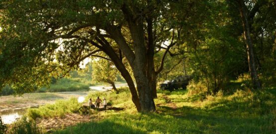 singita ebony lodge 1