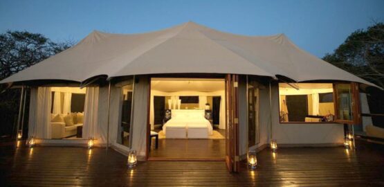 thanda private game reserve 1