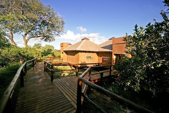 Idube Game Lodge 1