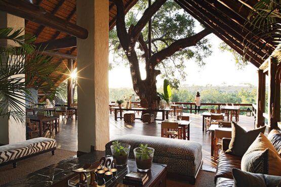 Londolozi Varty Camp 1