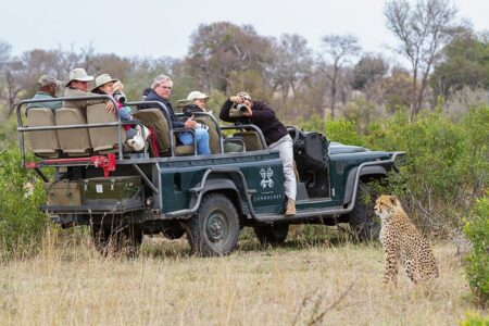 Londolozi Varty Camp 2