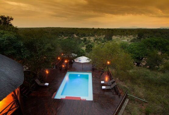 Naledi Bushcamp 1