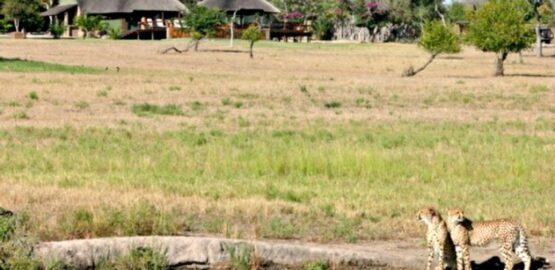 Nkorho Bush Lodge 1