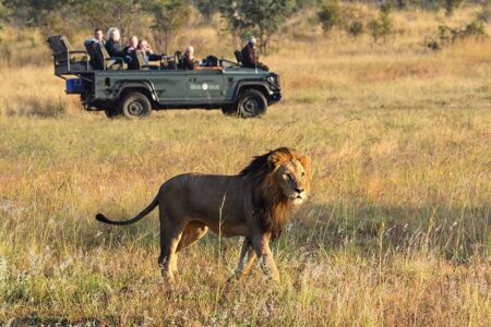 Sabi Sabi Bush Lodge 2