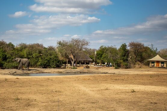 Tangala Safari Camp 1