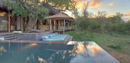 phinda homestead 2