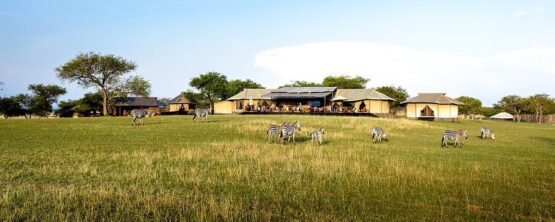 singita sabora tented camp 1